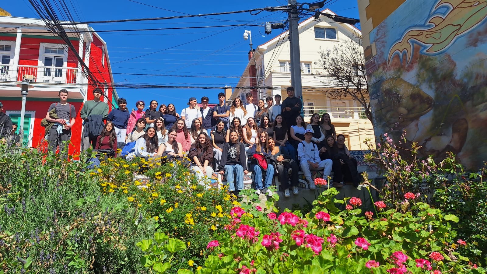 Cile 8